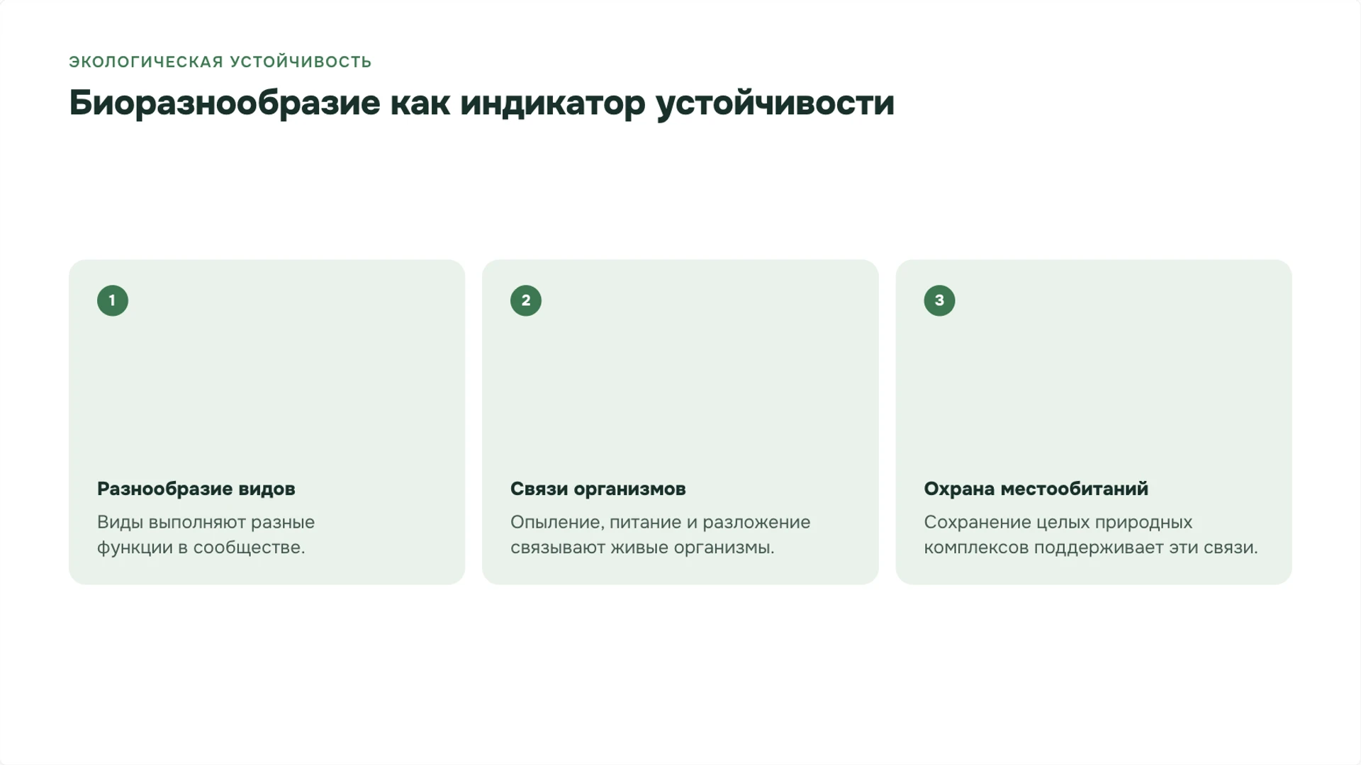 Слайд 8 «Биоразнообразие как индикатор устойчивости» из презентации «Человек и природа: связи и ответственность».