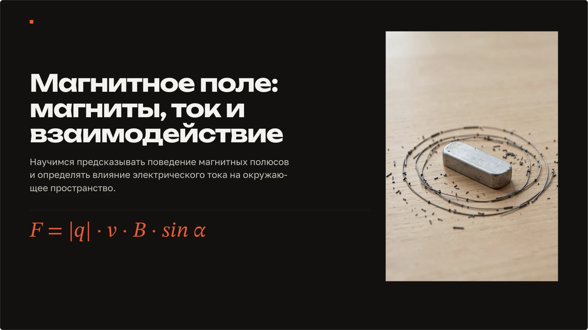 Обложка: Магнитное поле: магниты, ток и взаимодействие