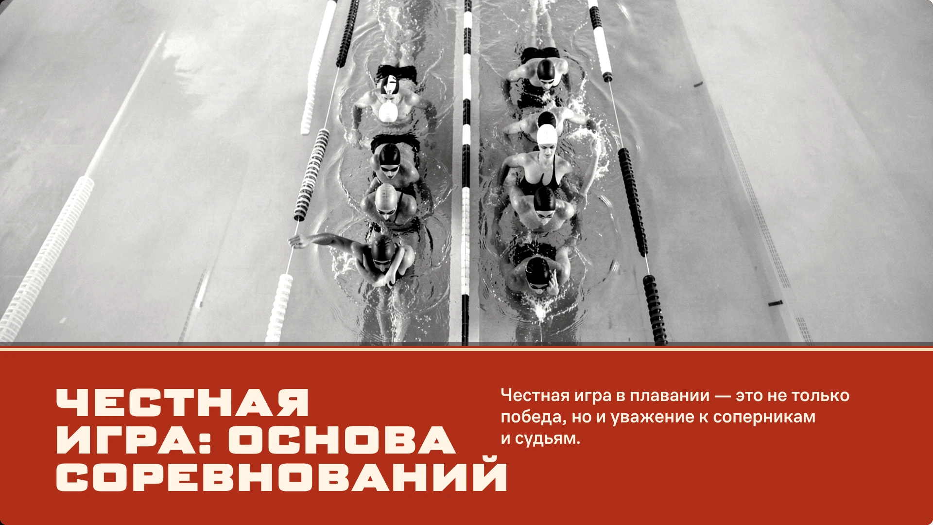 Слайд 7 «Честная игра: основа соревнований» из презентации «Подготовка в плавании: вводный обзор».