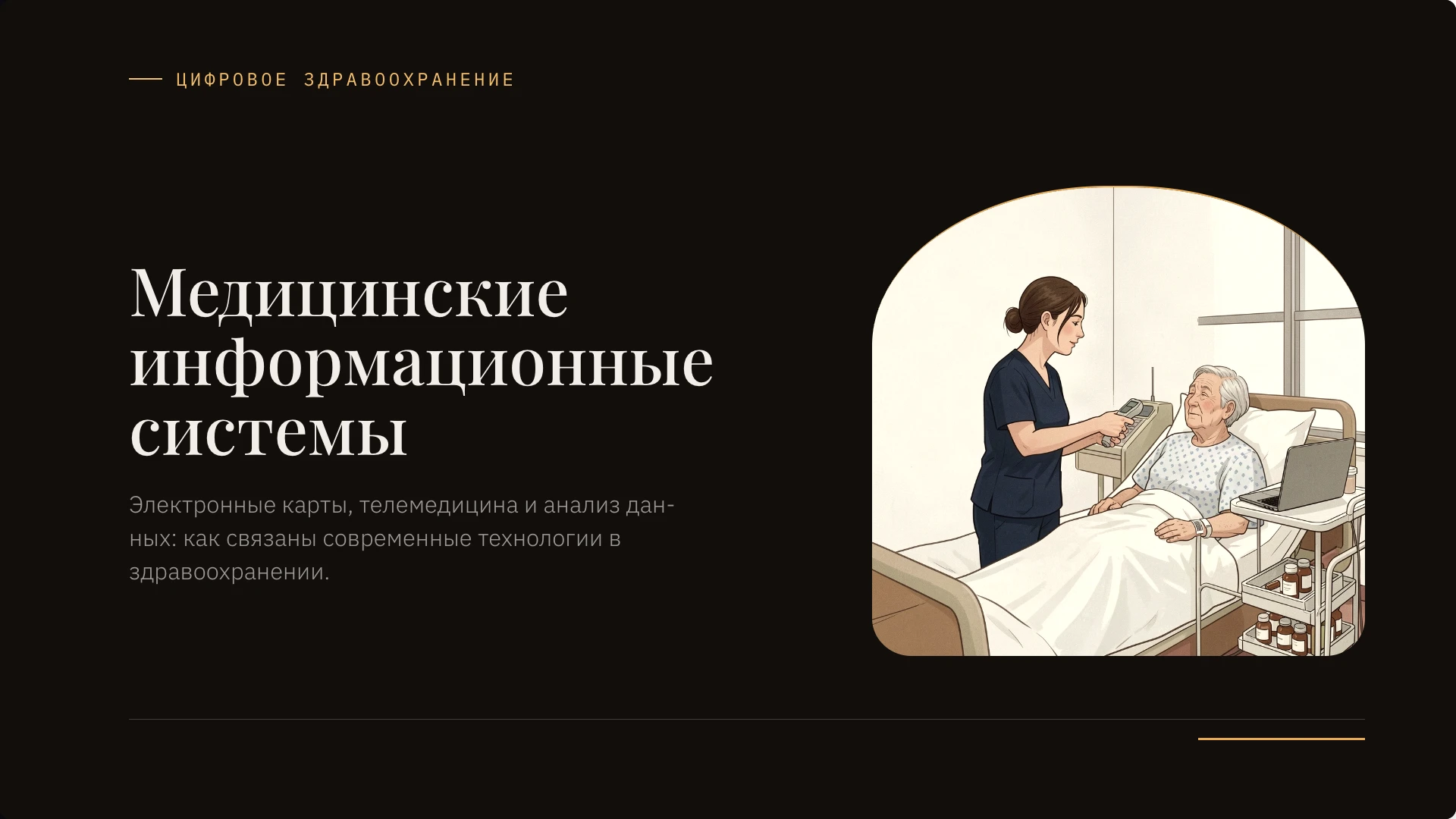 Обложка: Медицинские информационные системы
