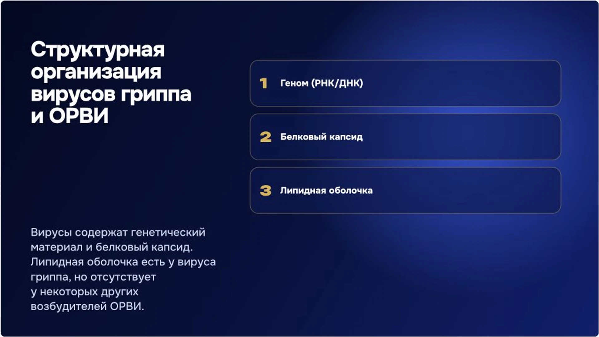 Слайд 3 «Структурная организация вирусов гриппа и ОРВИ» из презентации «ОРВИ: причины, диагностика и профилактика».