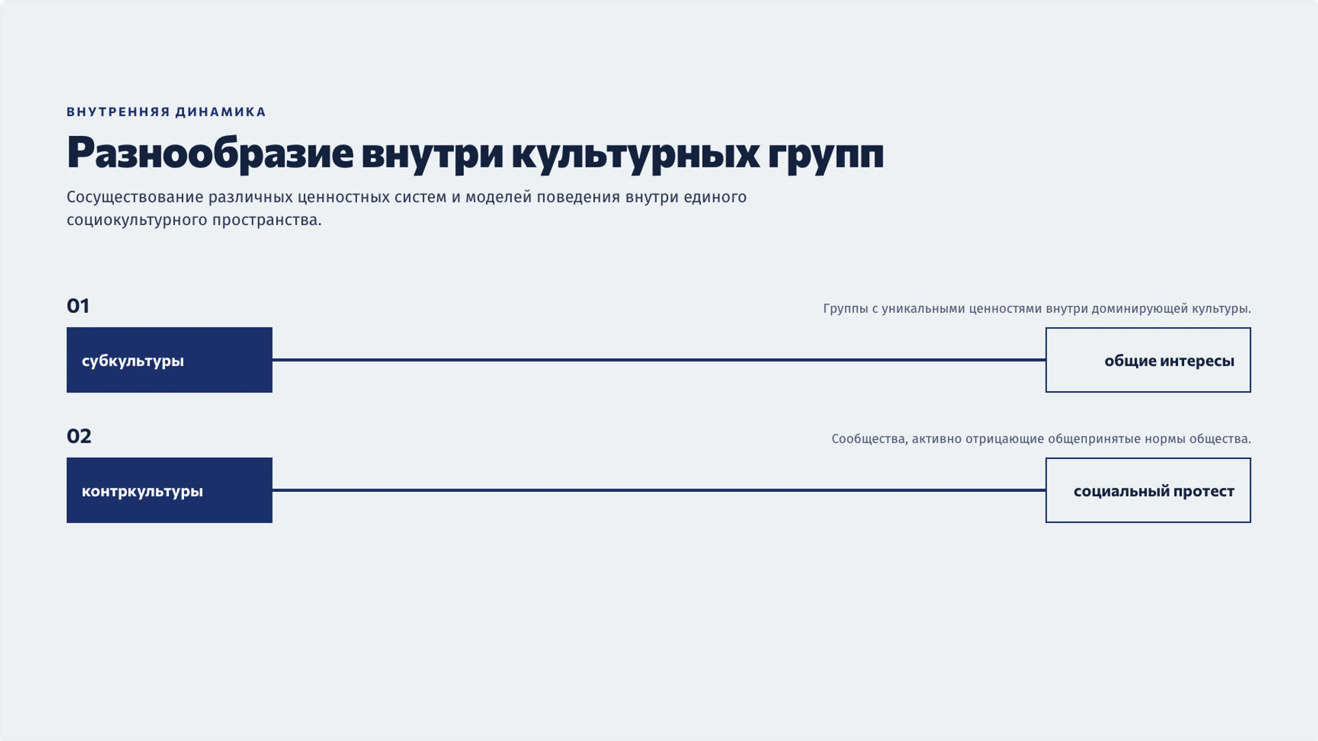 Слайд 7 «Разнообразие внутри культурных групп» из презентации «Культура народа: язык, традиции и изменения».
