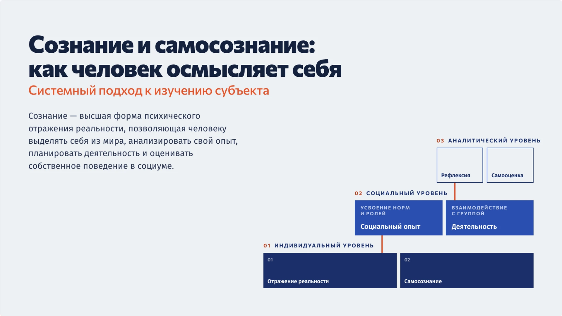 Обложка: Сознание и самосознание: как человек осмысляет себя