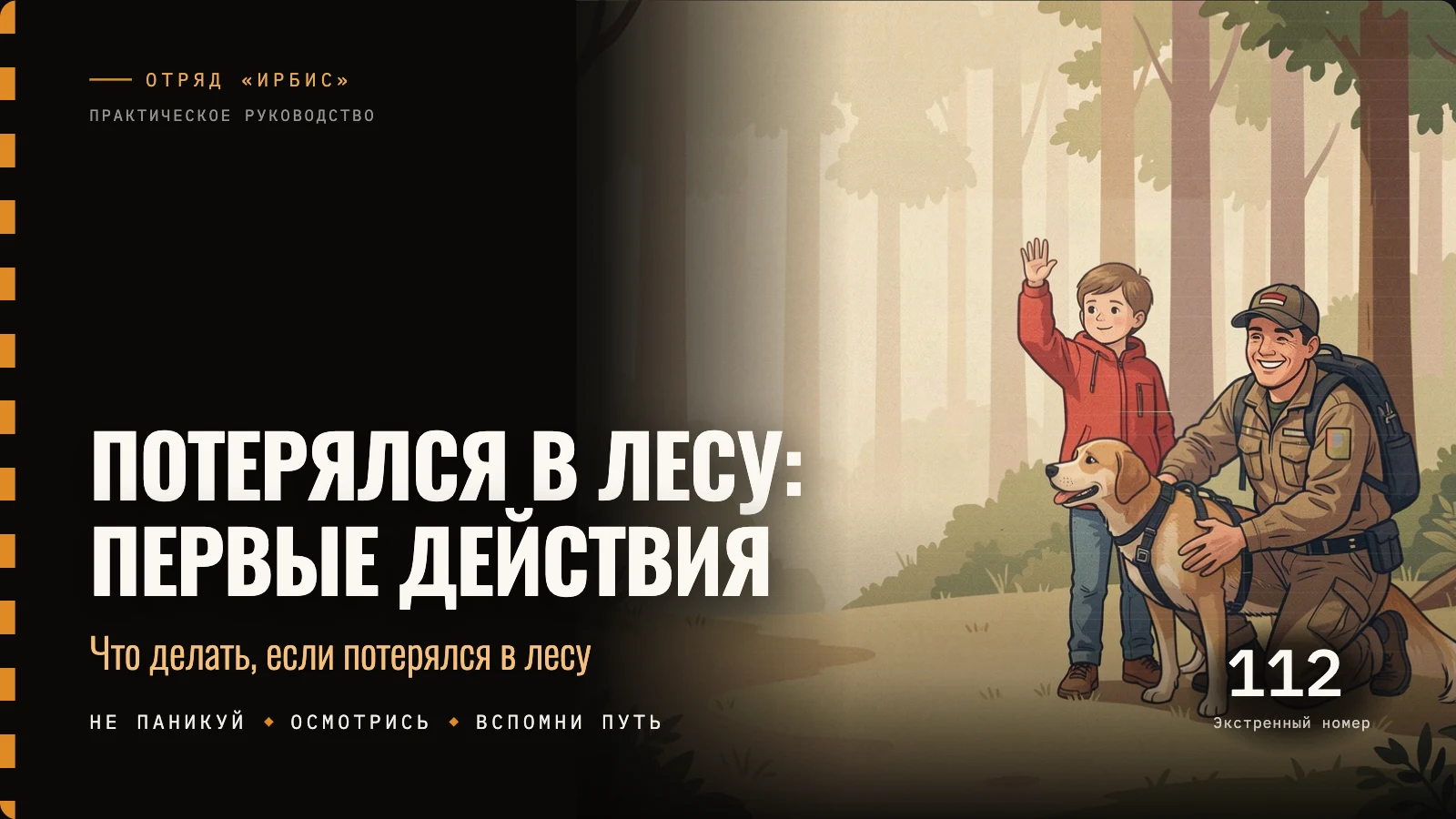 Обложка: Потерялся в лесу: первые действия