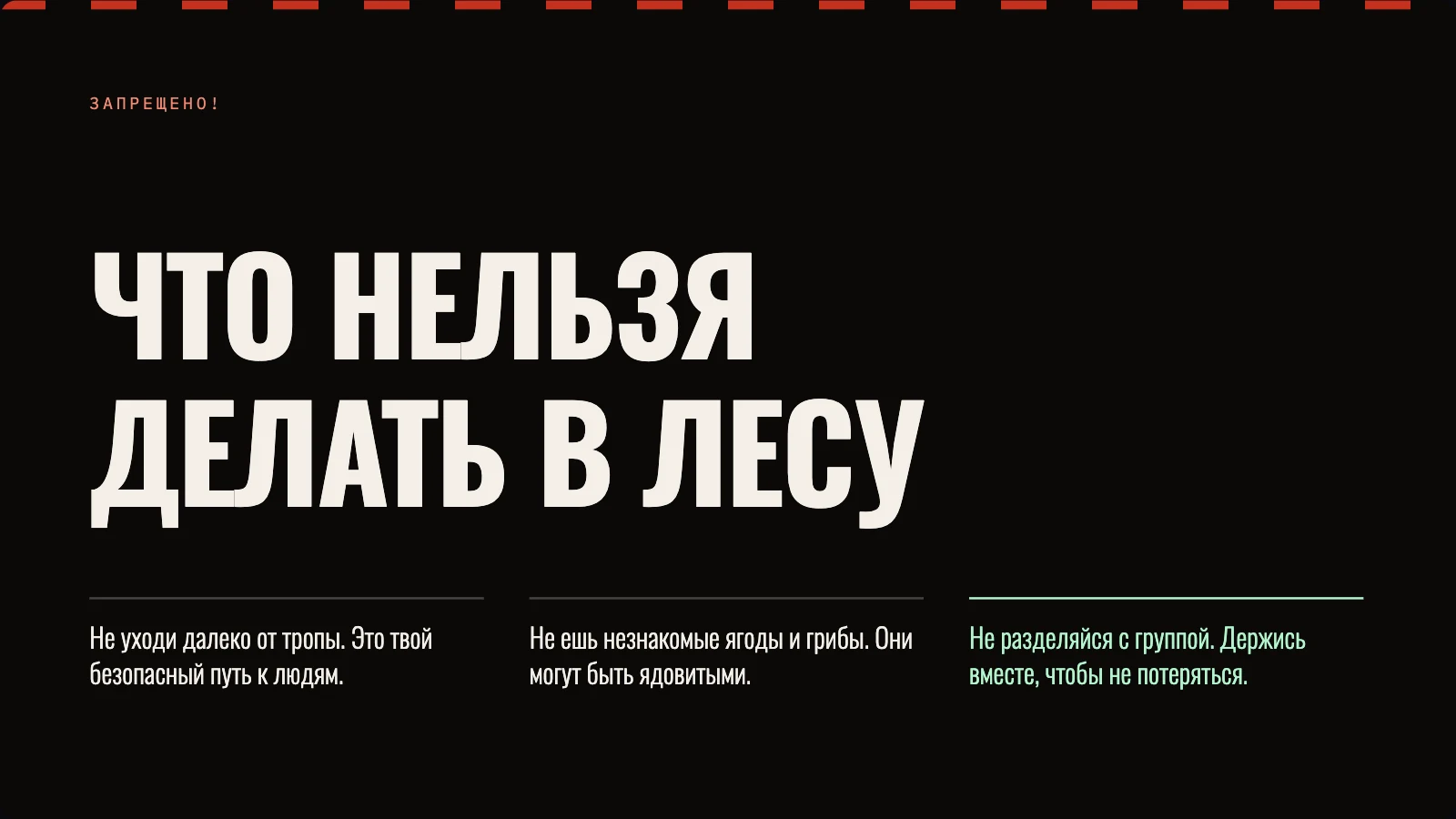 Что нельзя делать в лесу: три запрета