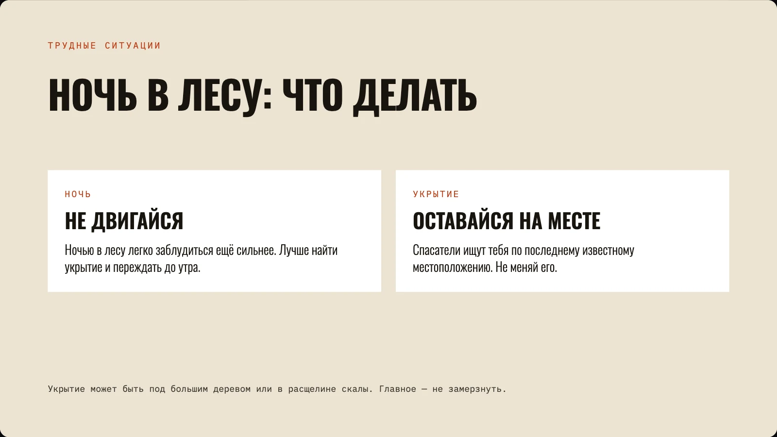 Что делать ночью в лесу: не двигаться и найти укрытие