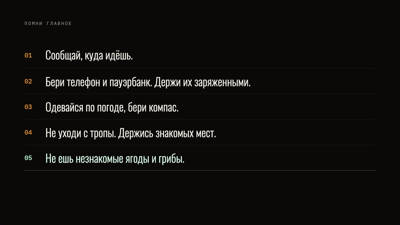 Памятка из пяти правил безопасности в лесу