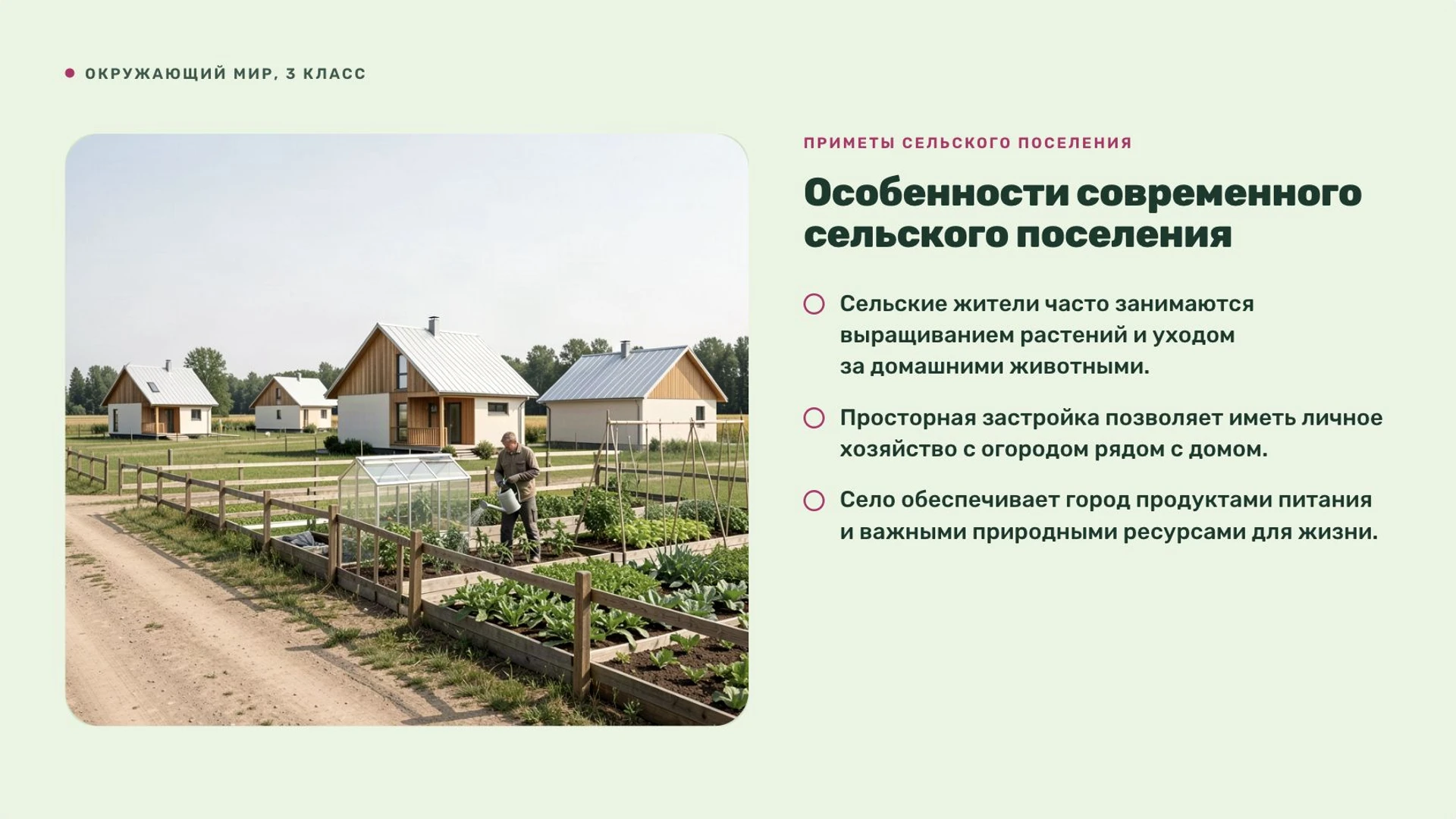Слайд 6 «Особенности современного сельского поселения» из презентации «Город и село».