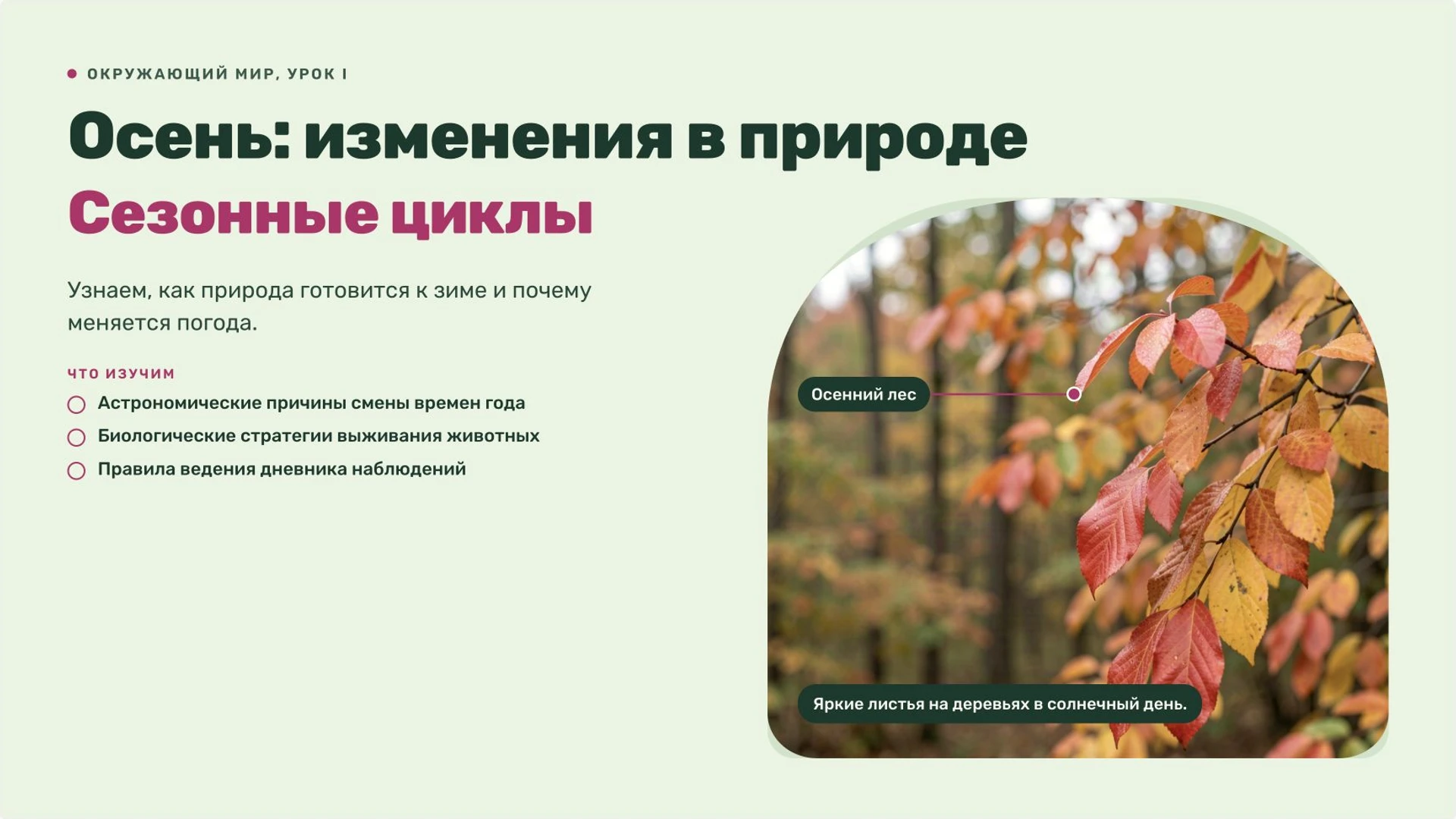 Обложка: Осень: изменения в природе