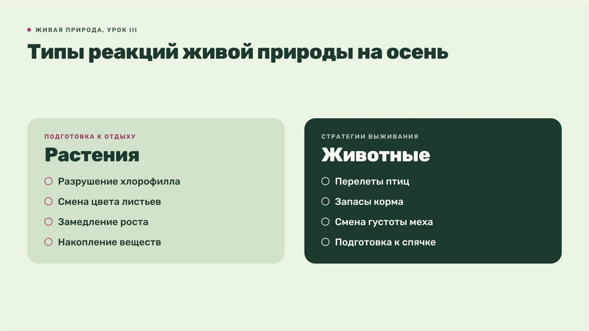 Слайд 3 «Типы реакций живой природы на осень» из презентации «Осень: изменения в природе».