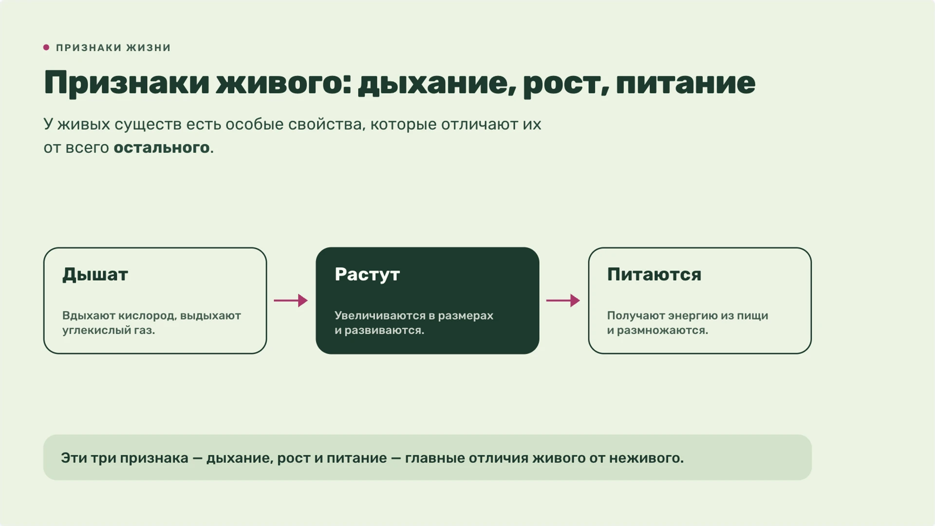 Слайд 2 «Признаки живого: дыхание, рост, питание» из презентации «Живая и неживая природа».