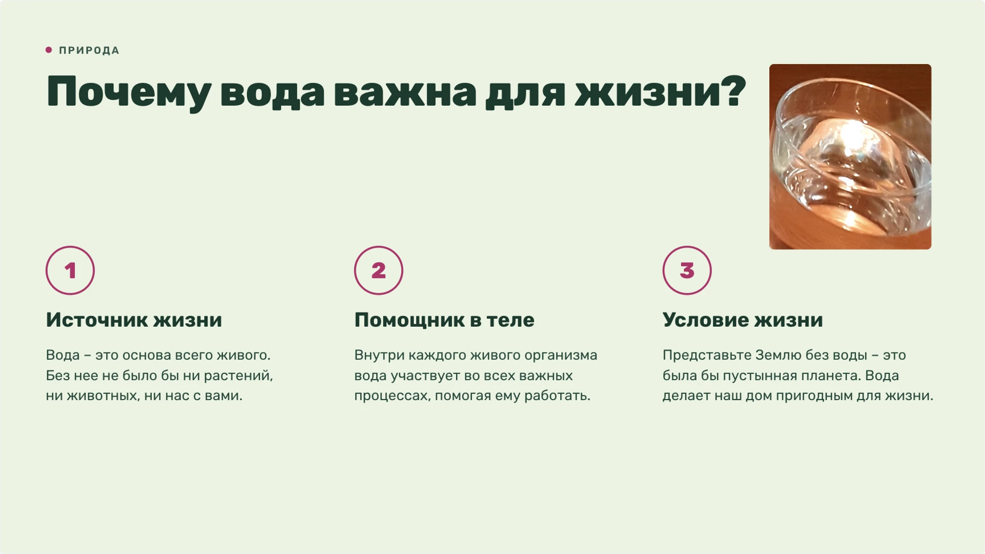Слайд 7 «Почему вода важна для жизни?» из презентации «Живая и неживая природа».