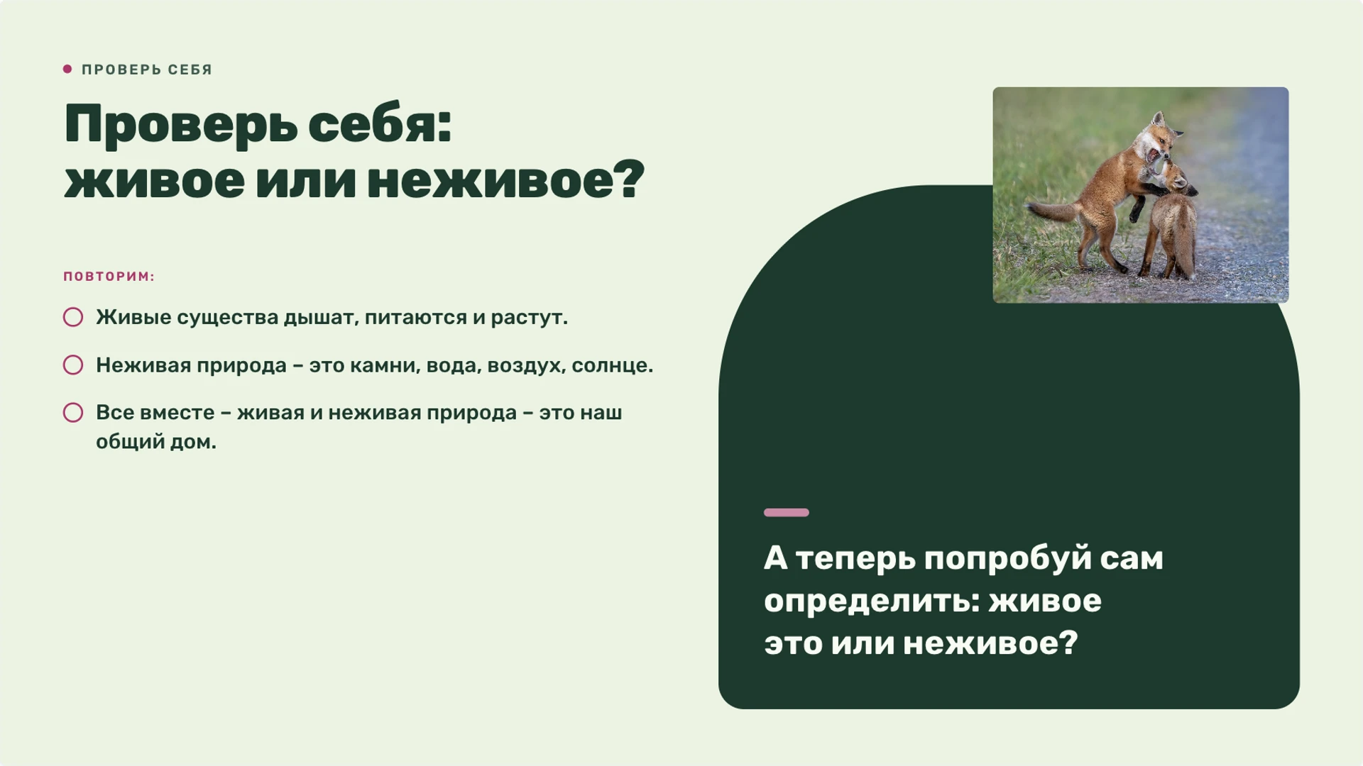 Слайд 10 «Проверь себя: живое или неживое?» из презентации «Живая и неживая природа».