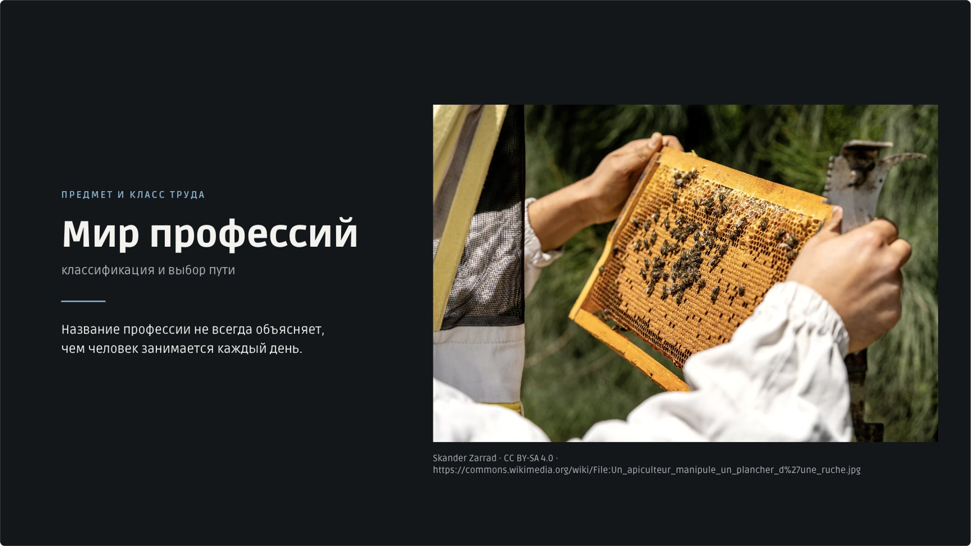 Обложка: Мир профессий: классификация и выбор пути