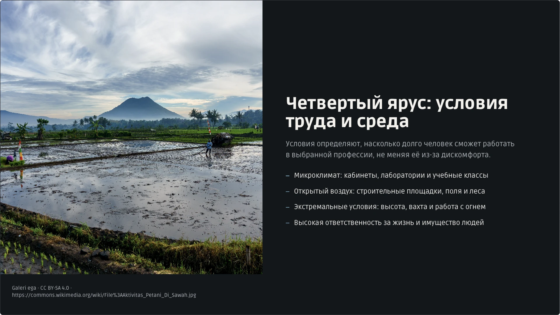 Слайд 21 «Четвертый ярус: условия труда и среда» из презентации «Мир профессий: классификация и выбор пути».