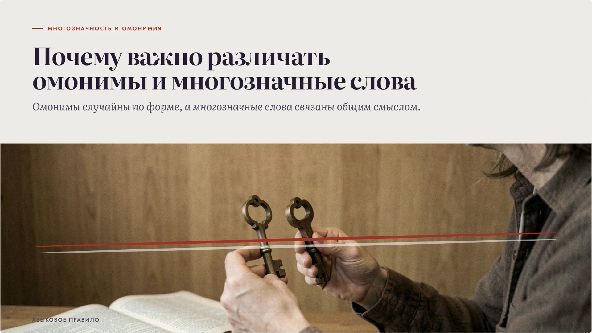 Слайд 2 «Почему важно различать омонимы и многозначные слова» из презентации «Богатство русского языка: точность и выразительность».