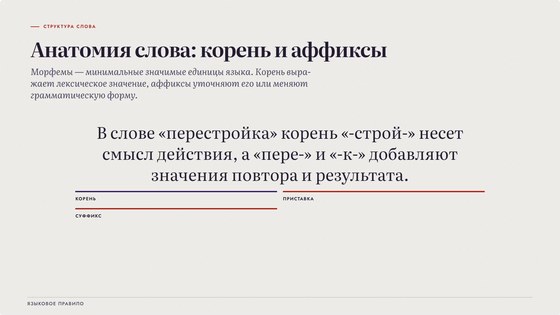 Слайд 3 «Анатомия слова: корень и аффиксы» из презентации «Лингвистика: как наука изучает язык».