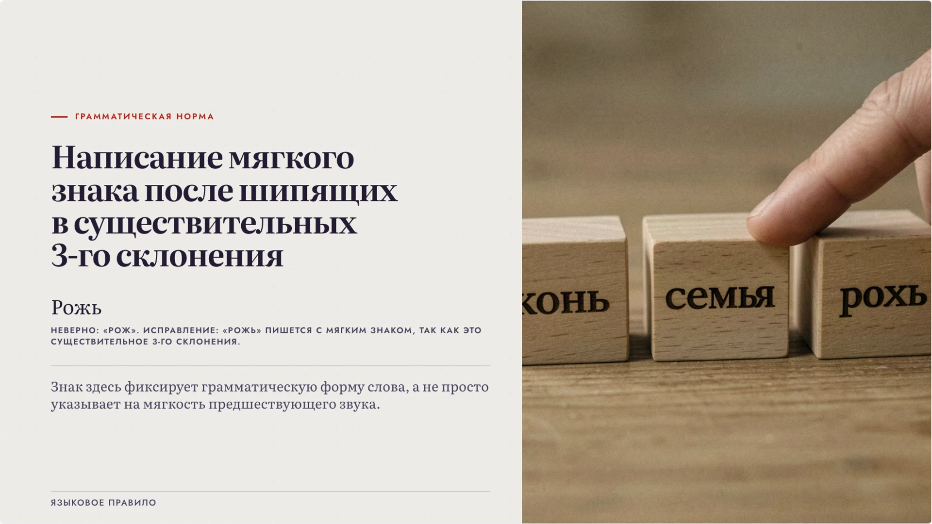Слайд 4 «Грамматическая роль мягкого знака» из презентации «Мягкий знак: функции и употребление».