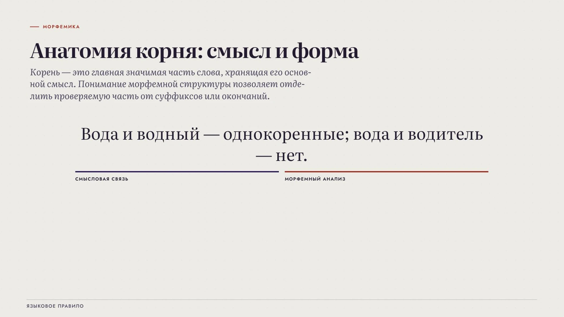Слайд 3 «Анатомия корня: смысл и форма» из презентации «Правописание корней».