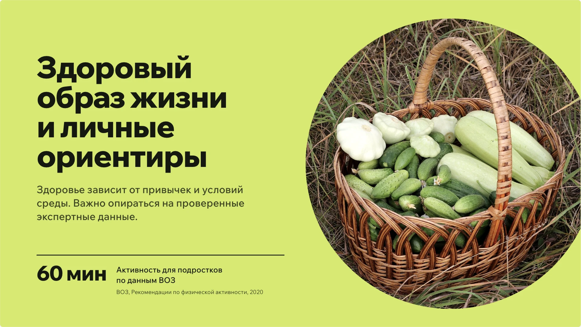 Обложка: Здоровый образ жизни: привычки и условия здоровья